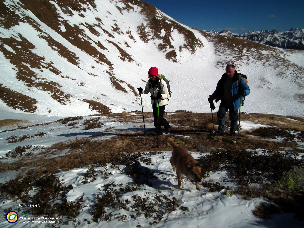 23 Tratti su neve,tratti su erba secca....JPG